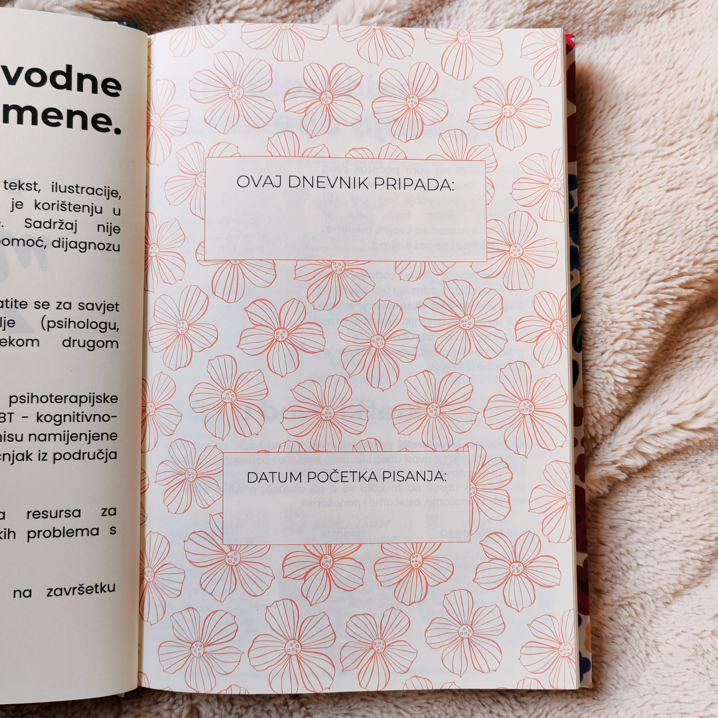 Dnevnik za mentalno zdravlje