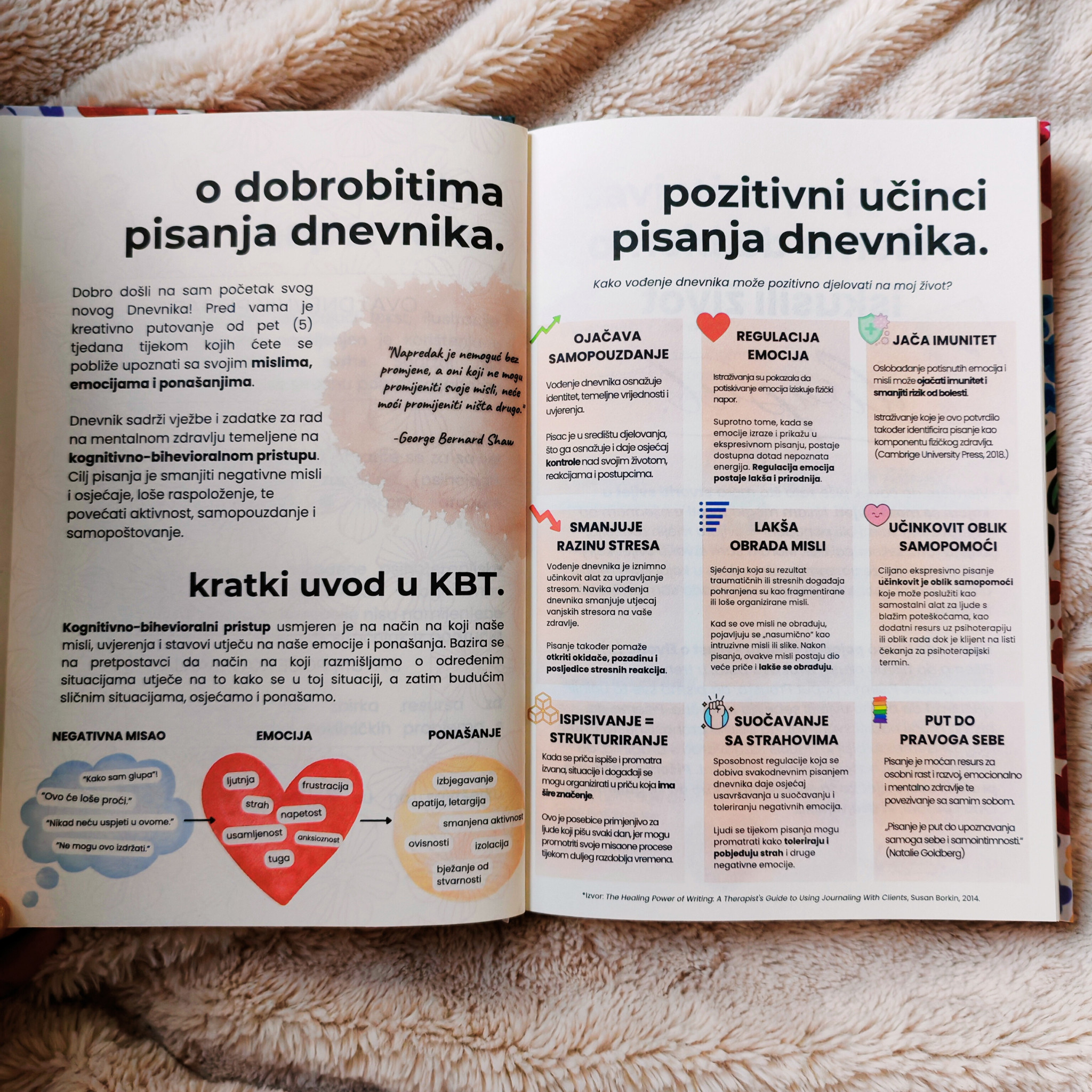 Dnevnik za mentalno zdravlje