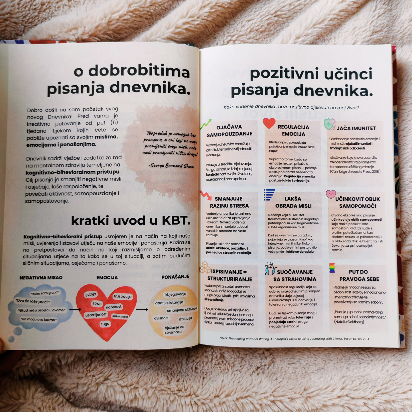 Dnevnik za mentalno zdravlje